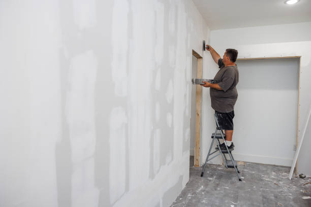 Best Attic Mold Removal  in Tilton Northfield, NH
