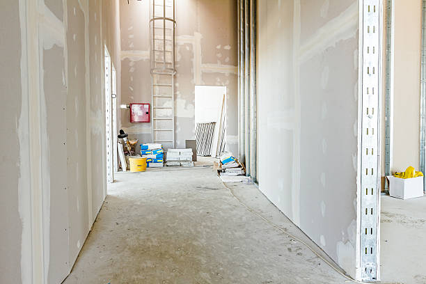 Best Mold Odor Removal Services  in Tilton Northfield, NH